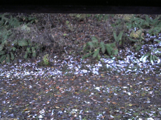 長野県菅平高原 ゆたか山荘 南側 2025/11/04 16:45