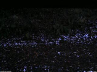 長野県菅平高原 ゆたか山荘 南側 2025/11/04 17:00