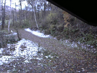 長野県菅平高原 ゆたか山荘 東側(坂下) 2025/11/04 16:45