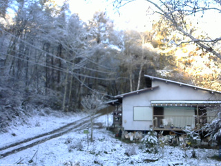 長野県菅平高原 ゆたか山荘 西側(坂上) 2025/11/04 06:45