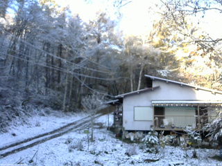 長野県菅平高原 ゆたか山荘 西側(坂上) 2025/11/04 07:00