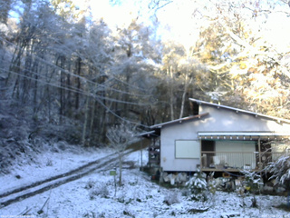 長野県菅平高原 ゆたか山荘 西側(坂上) 2025/11/04 07:15