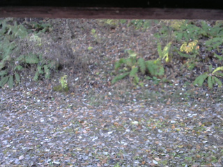 長野県菅平高原 ゆたか山荘 南側 2025/11/06 07:15