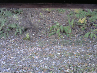 長野県菅平高原 ゆたか山荘 南側 2025/11/06 07:30