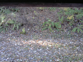 長野県菅平高原 ゆたか山荘 南側 2025/11/06 07:45