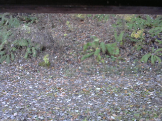 長野県菅平高原 ゆたか山荘 南側 2025/11/06 08:00