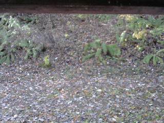 長野県菅平高原 ゆたか山荘 南側 2025/11/06 08:45