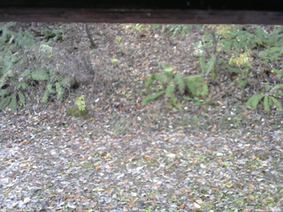 長野県菅平高原 ゆたか山荘 南側 2025/11/06 09:15