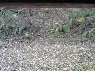 長野県菅平高原 ゆたか山荘 南側 2025/11/06 09:45