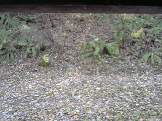 長野県菅平高原 ゆたか山荘 南側 2025/11/06 12:00