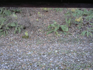 長野県菅平高原 ゆたか山荘 南側 2025/11/06 14:15