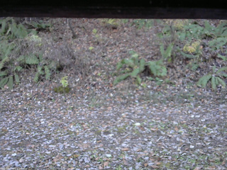 長野県菅平高原 ゆたか山荘 南側 2025/11/06 14:45