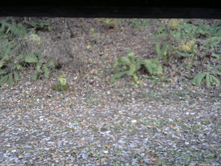長野県菅平高原 ゆたか山荘 南側 2025/11/06 15:15