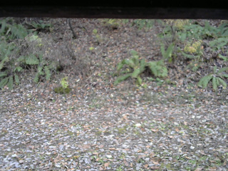 長野県菅平高原 ゆたか山荘 南側 2025/11/06 15:30