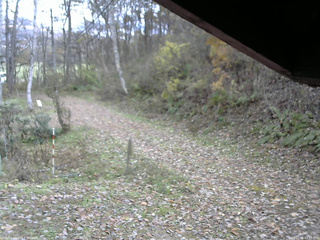 長野県菅平高原 ゆたか山荘 東側(坂下) 2025/11/06 12:30