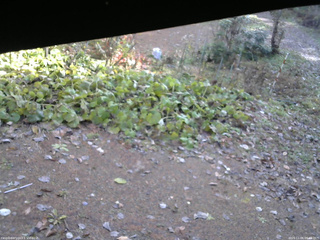 長野県菅平高原 ゆたか山荘 駐車場 2025/11/06 08:45