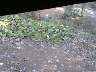 長野県菅平高原 ゆたか山荘 駐車場 2025/11/06 10:15