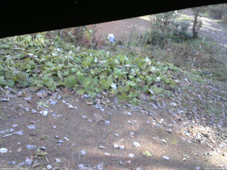 長野県菅平高原 ゆたか山荘 駐車場 2025/11/06 10:30
