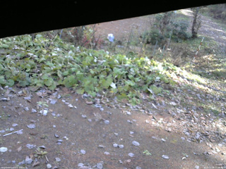 長野県菅平高原 ゆたか山荘 駐車場 2025/11/06 11:00