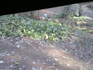 長野県菅平高原 ゆたか山荘 駐車場 2025/11/06 11:15