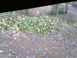 長野県菅平高原 ゆたか山荘 駐車場 2025/11/06 11:45