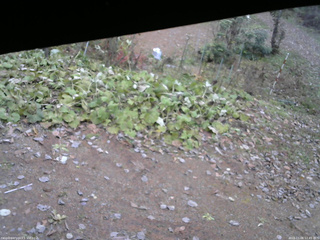 長野県菅平高原 ゆたか山荘 駐車場 2025/11/06 12:45