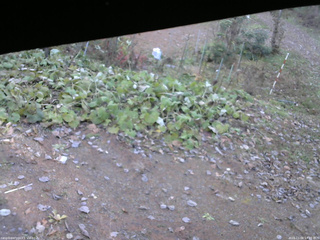 長野県菅平高原 ゆたか山荘 駐車場 2025/11/06 14:15