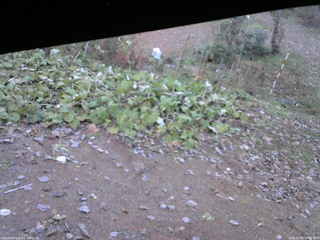 長野県菅平高原 ゆたか山荘 駐車場 2025/11/06 14:45
