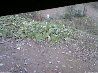 長野県菅平高原 ゆたか山荘 駐車場 2025/11/06 15:00