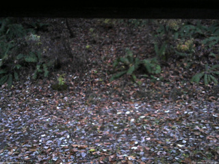 長野県菅平高原 ゆたか山荘 南側 2025/11/07 06:15