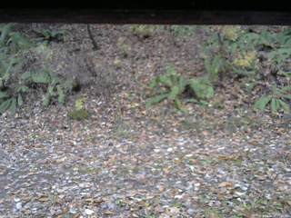 長野県菅平高原 ゆたか山荘 南側 2025/11/07 07:15