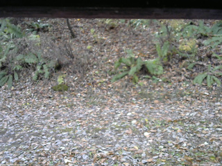 長野県菅平高原 ゆたか山荘 南側 2025/11/07 09:30