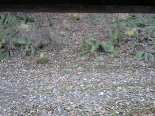 長野県菅平高原 ゆたか山荘 南側 2025/11/07 14:15