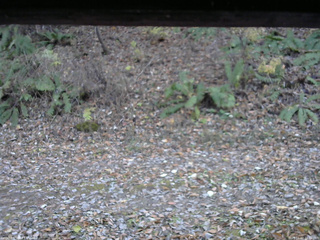 長野県菅平高原 ゆたか山荘 南側 2025/11/07 15:30