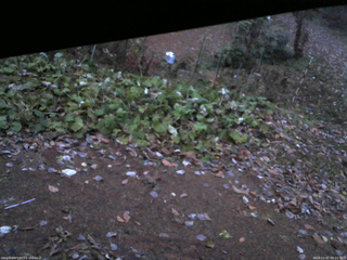 長野県菅平高原 ゆたか山荘 駐車場 2025/11/07 06:15