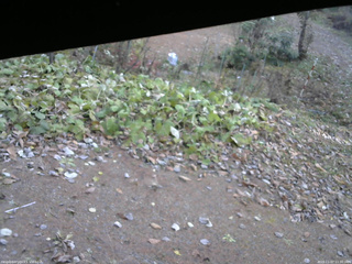 長野県菅平高原 ゆたか山荘 駐車場 2025/11/07 11:30