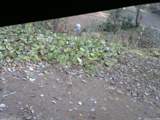 長野県菅平高原 ゆたか山荘 駐車場 2025/11/07 11:45