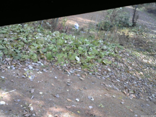 長野県菅平高原 ゆたか山荘 駐車場 2025/11/07 12:00