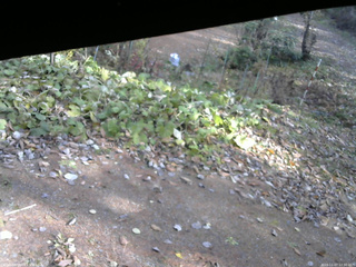 長野県菅平高原 ゆたか山荘 駐車場 2025/11/07 12:30