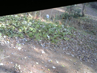 長野県菅平高原 ゆたか山荘 駐車場 2025/11/07 12:45
