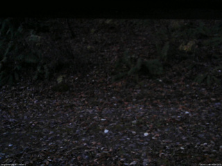 長野県菅平高原 ゆたか山荘 南側 2025/11/08 06:00