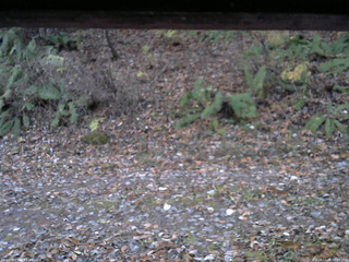 長野県菅平高原 ゆたか山荘 南側 2025/11/08 06:15