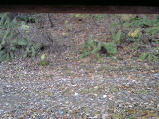 長野県菅平高原 ゆたか山荘 南側 2025/11/08 06:30