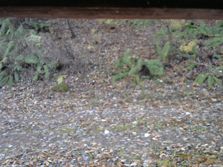 長野県菅平高原 ゆたか山荘 南側 2025/11/08 06:45
