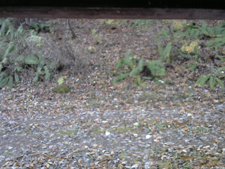 長野県菅平高原 ゆたか山荘 南側 2025/11/08 07:30