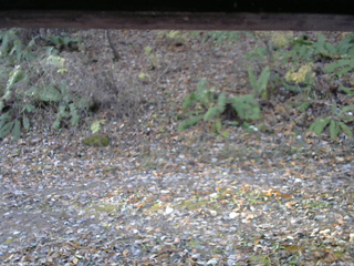 長野県菅平高原 ゆたか山荘 南側 2025/11/08 07:45