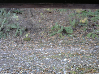 長野県菅平高原 ゆたか山荘 南側 2025/11/08 08:00
