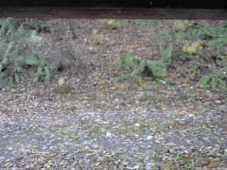 長野県菅平高原 ゆたか山荘 南側 2025/11/08 08:30