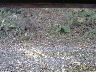 長野県菅平高原 ゆたか山荘 南側 2025/11/08 09:00