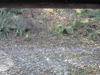 長野県菅平高原 ゆたか山荘 南側 2025/11/08 09:15